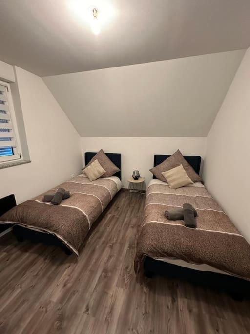 Appartement Algo Algolsheim エクステリア 写真