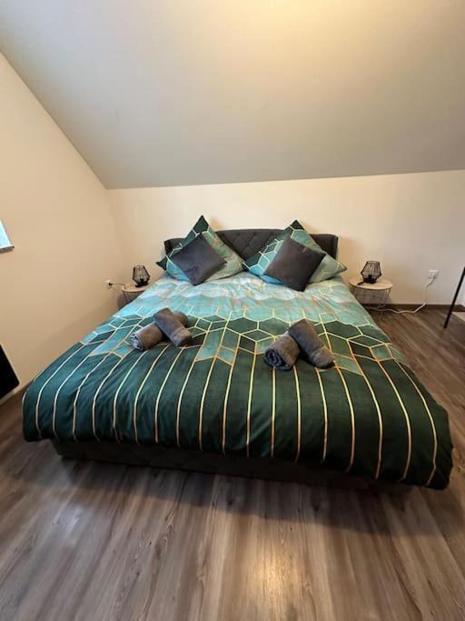Appartement Algo Algolsheim エクステリア 写真